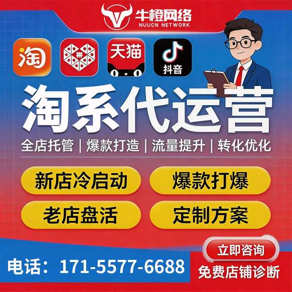 宜宾电商代运营
