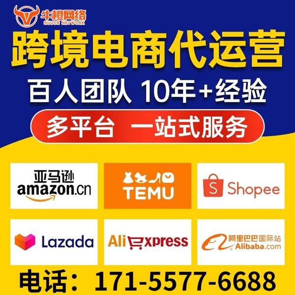 宜宾电商代运营
