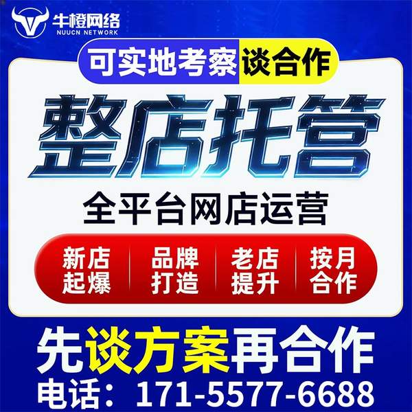 宜宾电商代运营