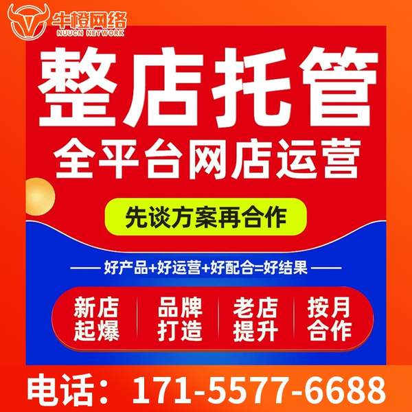 宜宾电商代运营