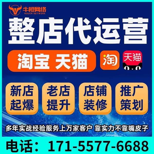 宜宾电商代运营