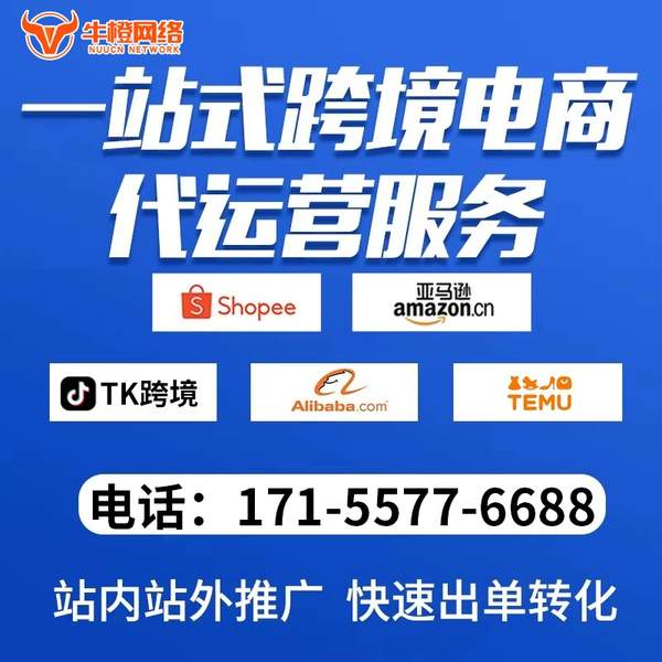 宜宾电商代运营