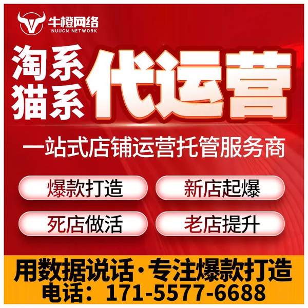 宜宾电商代运营